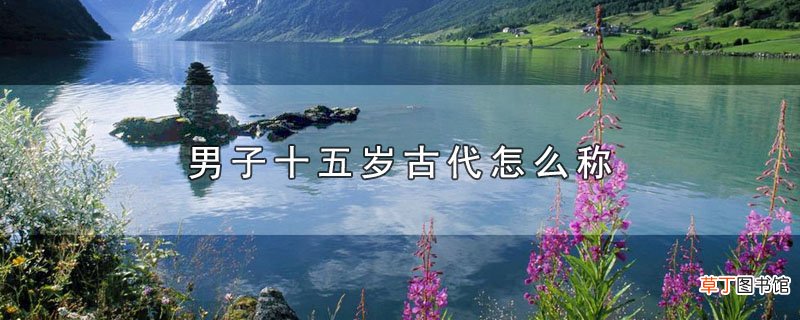 男子十五岁古代怎么称