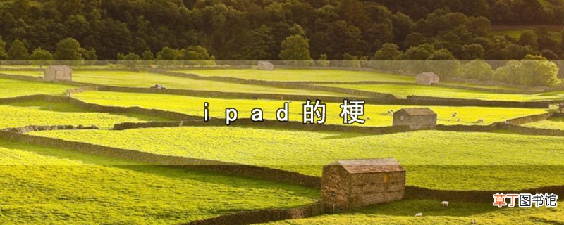 ipad的梗
