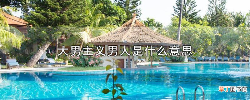 大男主义男人是什么意思