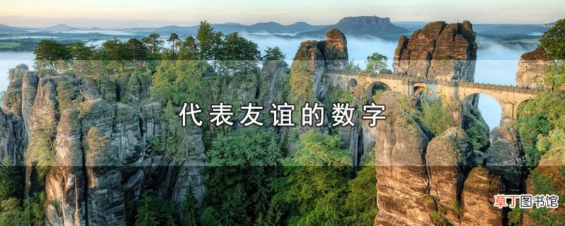 代表友谊的数字