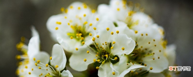 一年四季怎么划分月份 一年四季怎么划分月份阳历