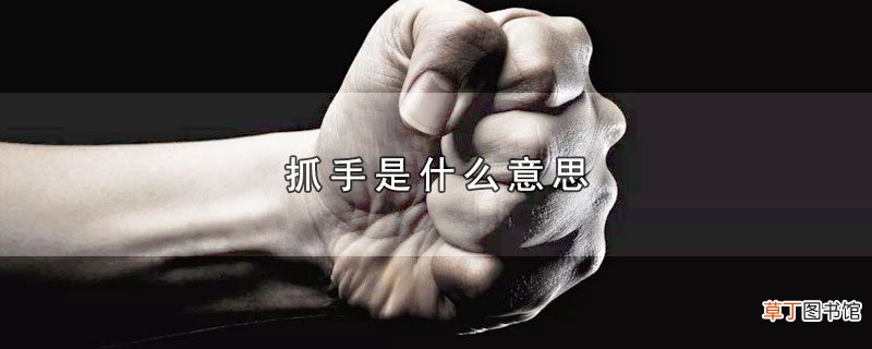 抓手是什么意思