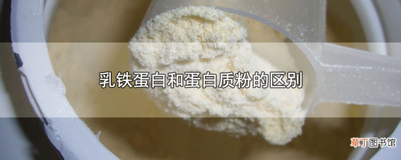乳铁蛋白和蛋白质粉的区别