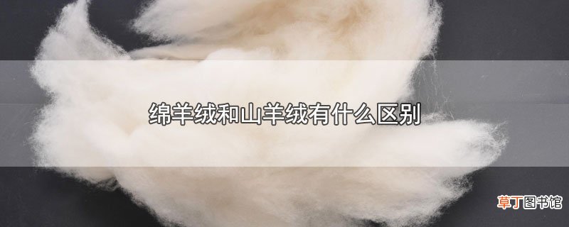 绵羊绒和山羊绒有什么区别