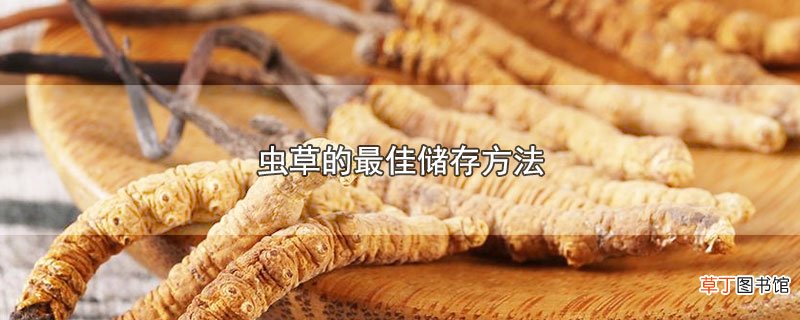 虫草的最佳储存方法