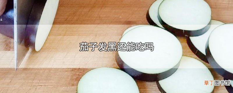 茄子发黑还能吃吗