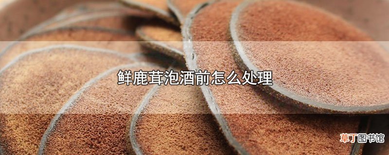 鲜鹿茸泡酒前怎么处理
