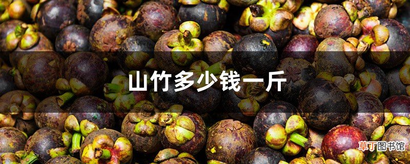 山竹多少钱一斤，山竹图片