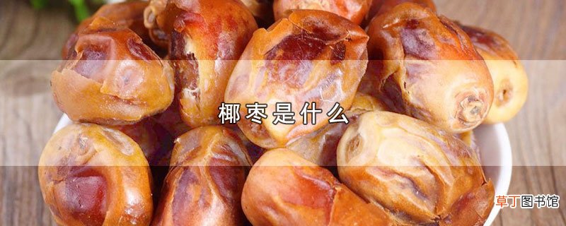 椰枣是什么