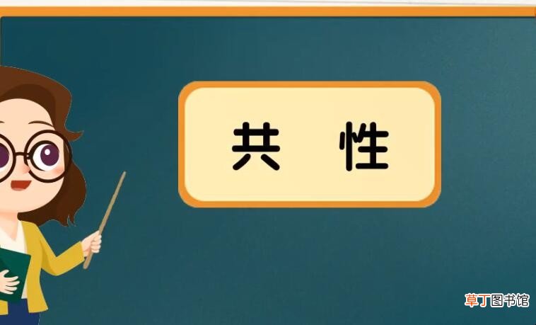 共性和吸引是什么意思
