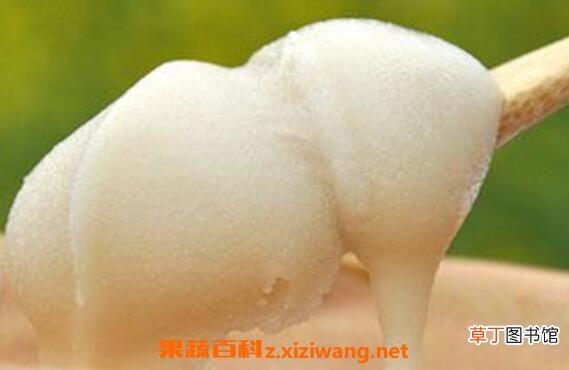 乌桕蜂蜜的功效与作用