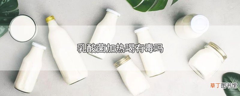乳酸菌加热喝有毒吗