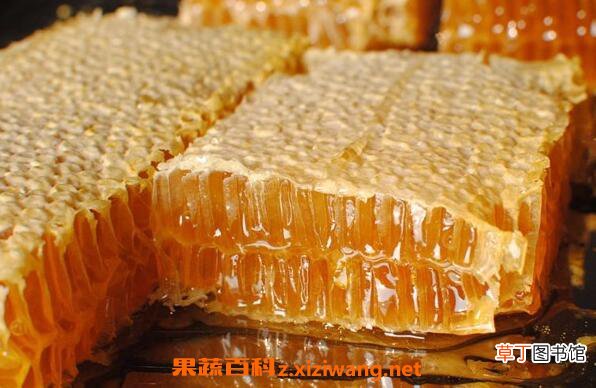 蜂巢蜜怎么吃 蜂巢蜜的作用与功效