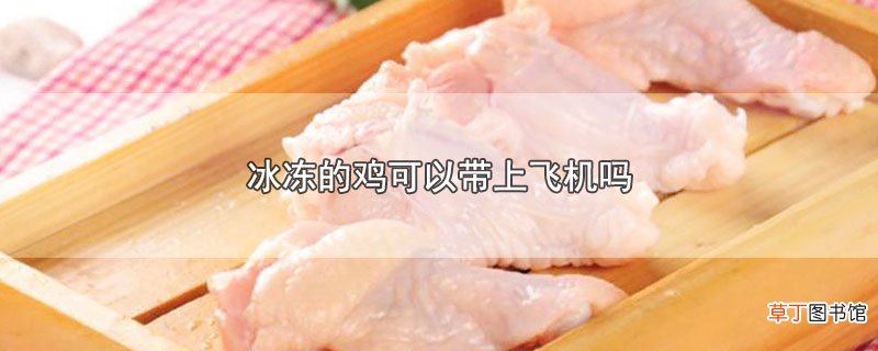 冰冻的鸡可以带上飞机吗