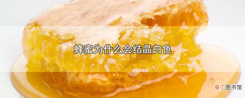 蜂蜜为什么会结晶白色
