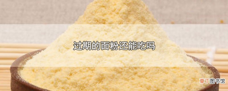 过期的面粉还能吃吗