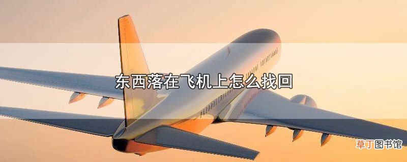 东西落在飞机上怎么找回