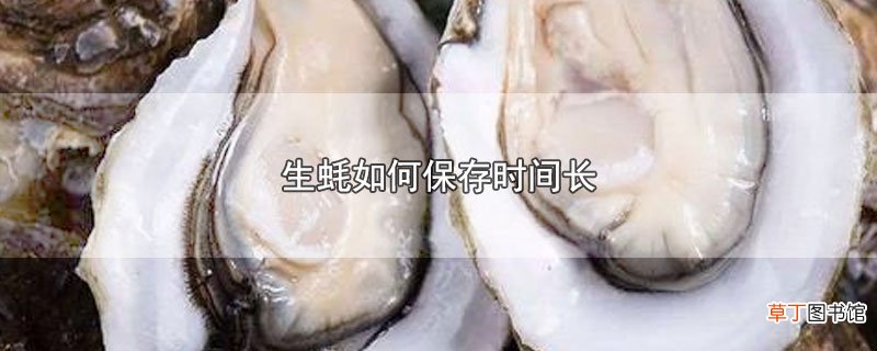 生蚝怎么保存时间长