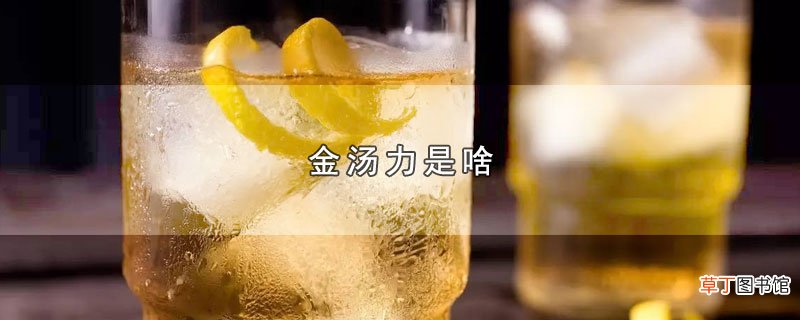 金汤力是啥