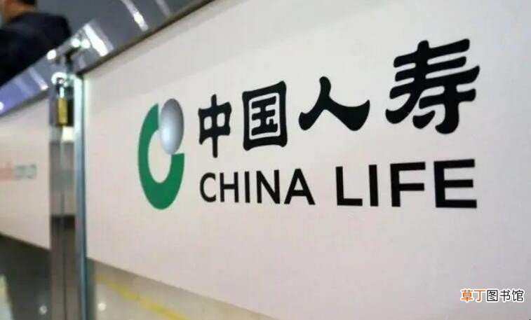 人寿保险怎么查询自己的保单