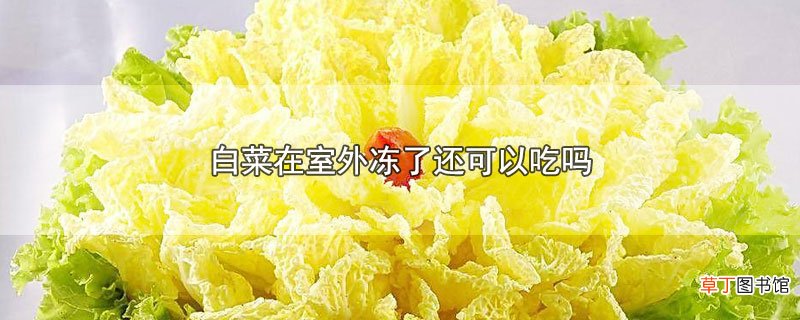 白菜在室外冻了还可以吃吗