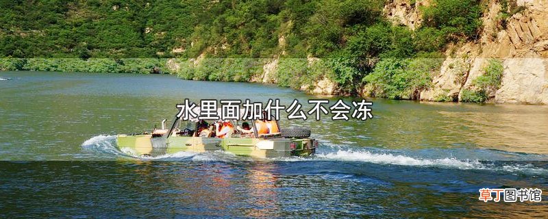 水里面加什么不会冻