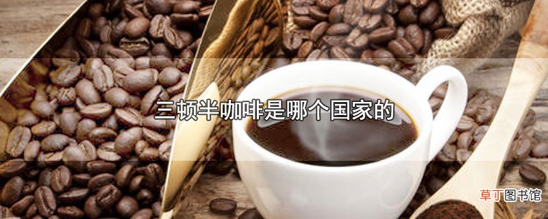 三顿半咖啡是哪个国家的
