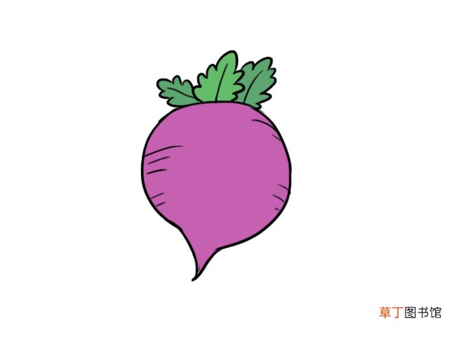 萝卜简笔画