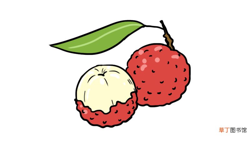 荔枝简笔画画法荔枝简笔画步骤
