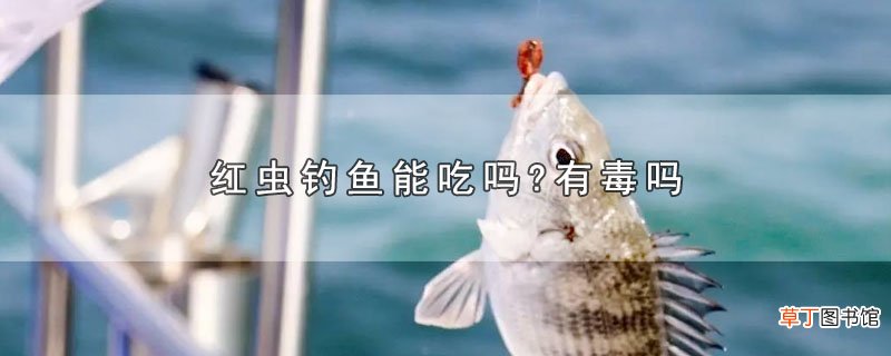 红虫钓鱼能吃吗?有毒吗