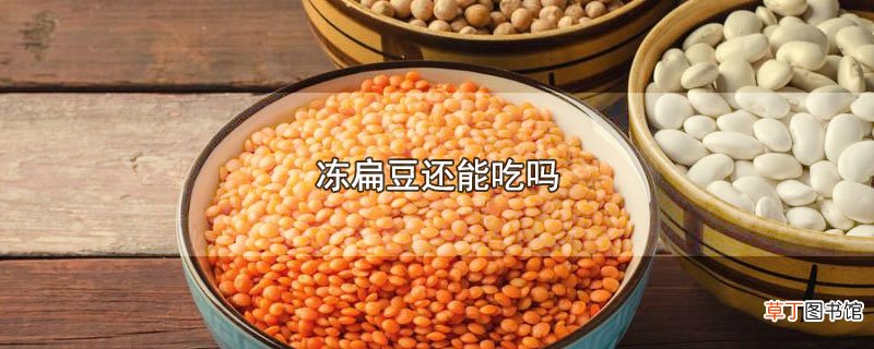 冻扁豆还能吃吗