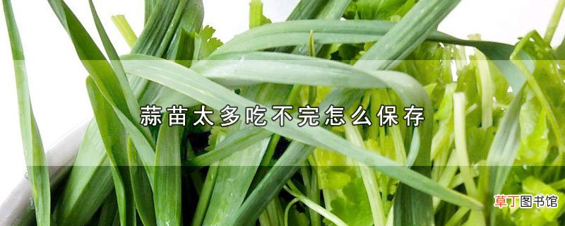 蒜苗太多吃不完怎么保存
