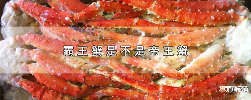 霸王蟹是不是帝王蟹