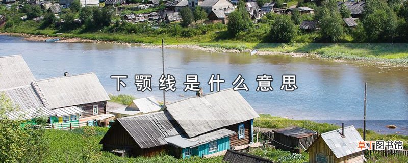 下颚线是什么意思
