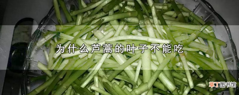 为什么芦蒿的叶子不能吃
