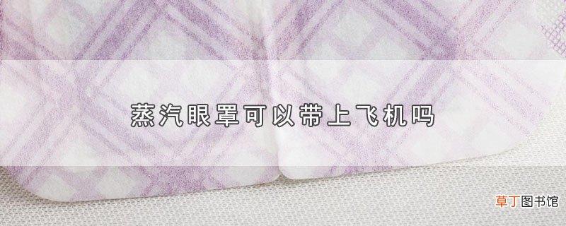 蒸汽眼罩可以带上飞机吗