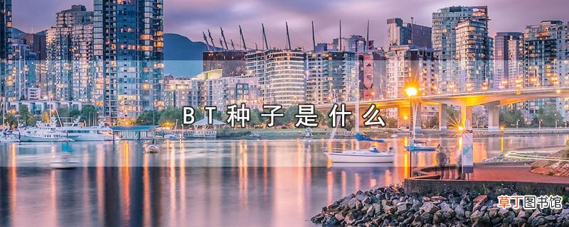BT种子是什么