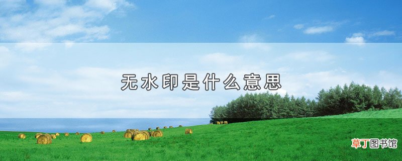 无水印是什么意思