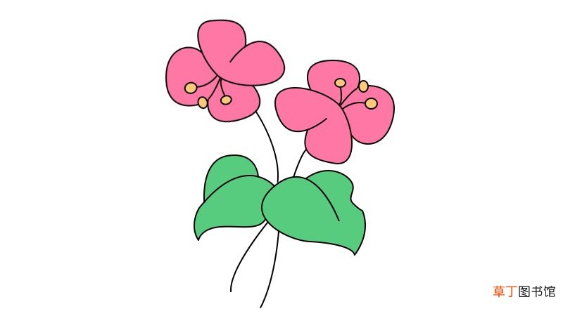 蝴蝶兰简笔画画法蝴蝶兰简笔画教程