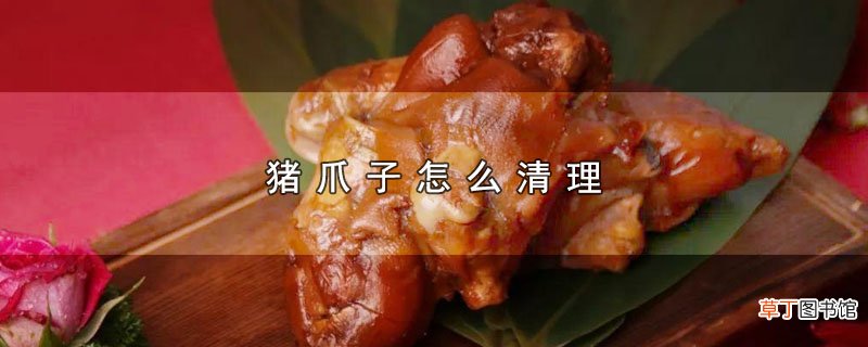 猪爪子怎么清理