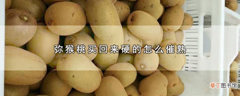 弥猴桃买回来硬的怎么催熟