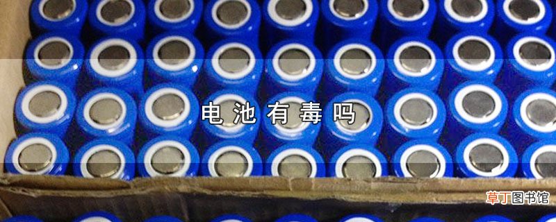电池有毒吗