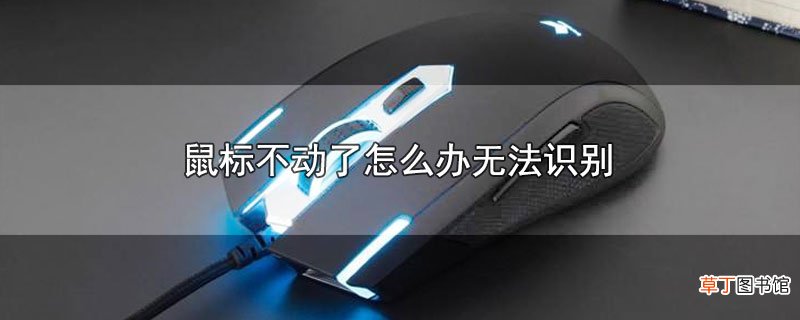 鼠标不动了怎样办无法识别