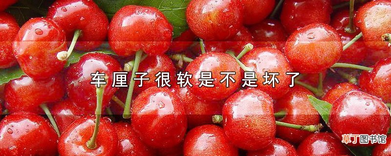 车厘子很软是不是坏了