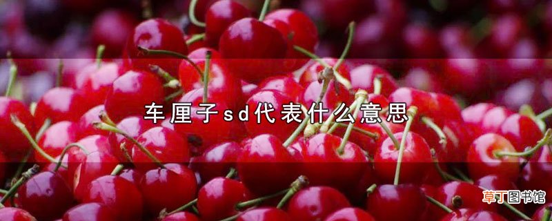 车厘子sd代表什么意思