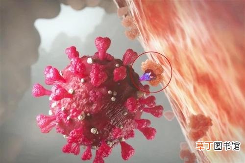乘客因鼻拭子受害 9000名乘客因鼻拭子重复使用受害