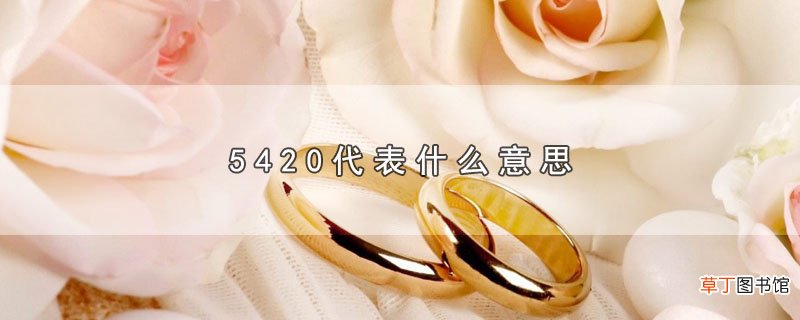 5420代表什么意思