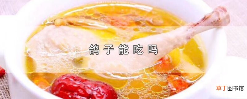 鸽子能吃吗