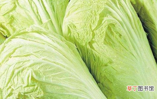 缓解压力的彩色食物 改善情绪释放工作时压抑的心情