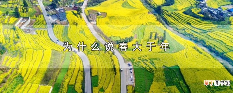 为什么说春大于年